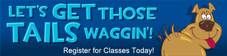 Register for Dog Training Classes